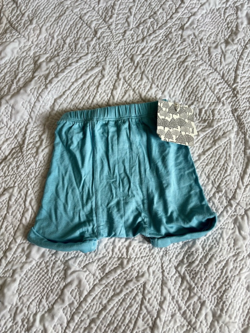 Bamboo - Kate Quinn NWT Teal Shorts - Picture 4 of 4